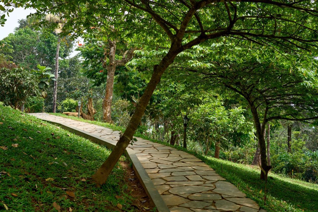Haze And Kites Resort Муннар Екстер'єр фото