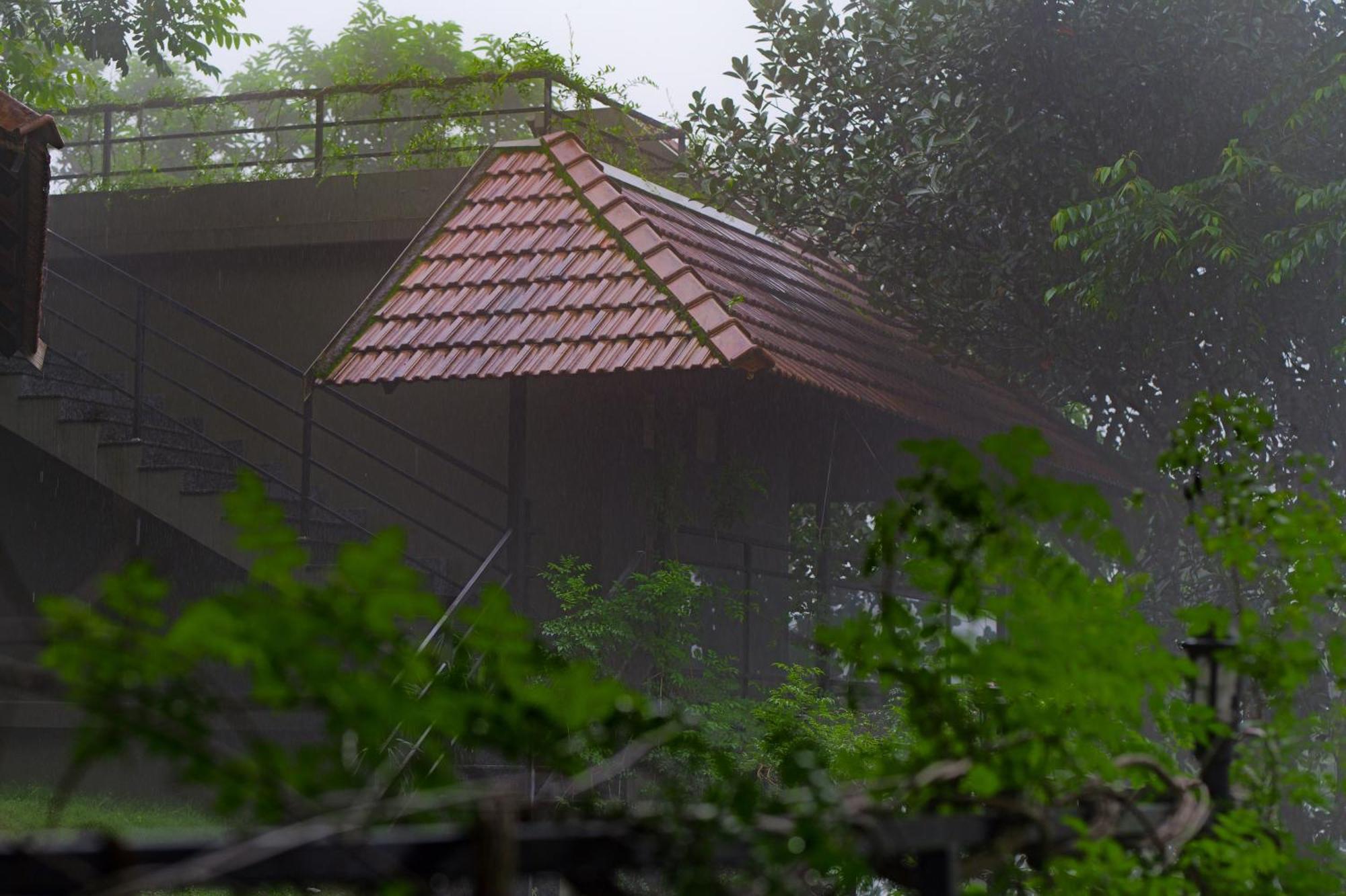 Haze And Kites Resort Муннар Екстер'єр фото